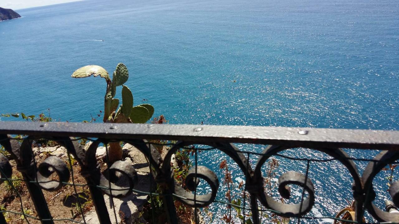 克里日亚La Terrazza Sul Blu公寓 外观 照片