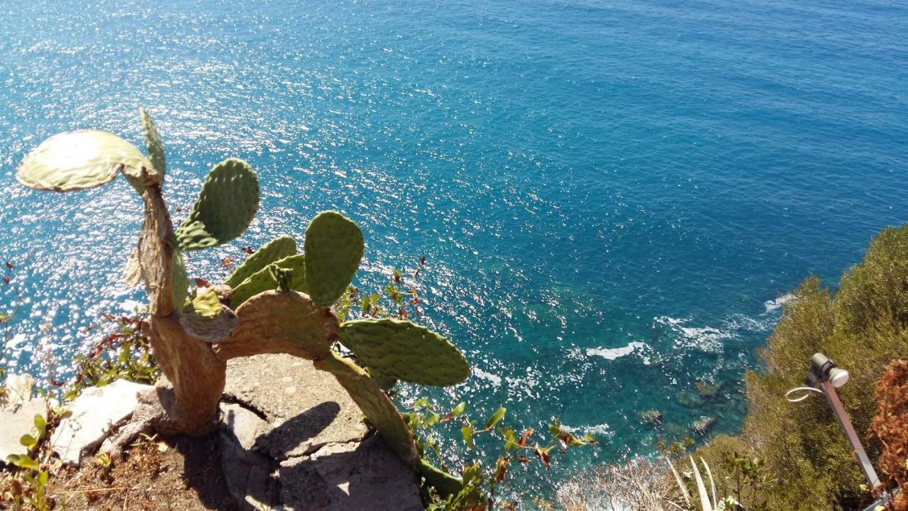 克里日亚La Terrazza Sul Blu公寓 外观 照片